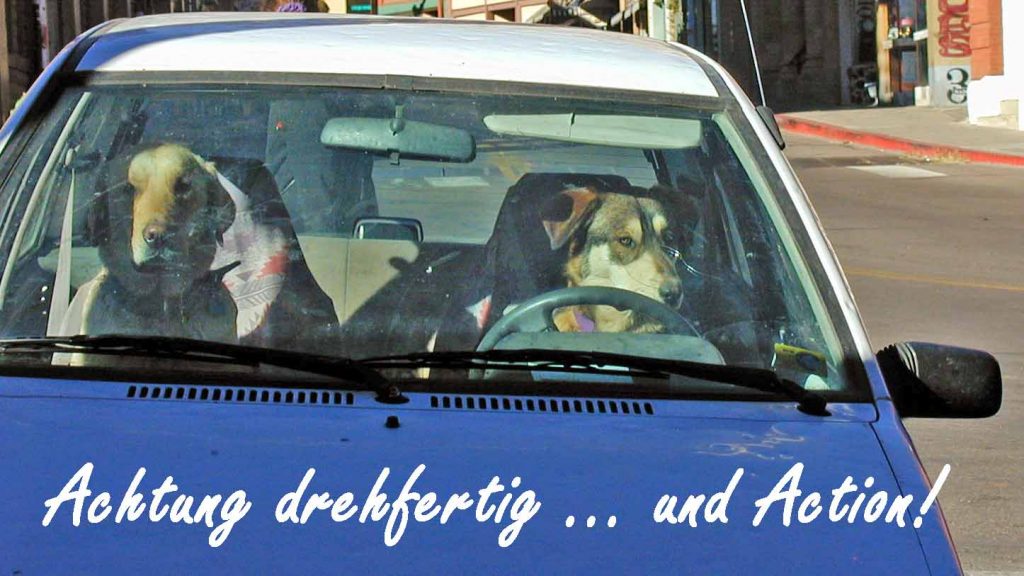 Auf den Hund gekommen